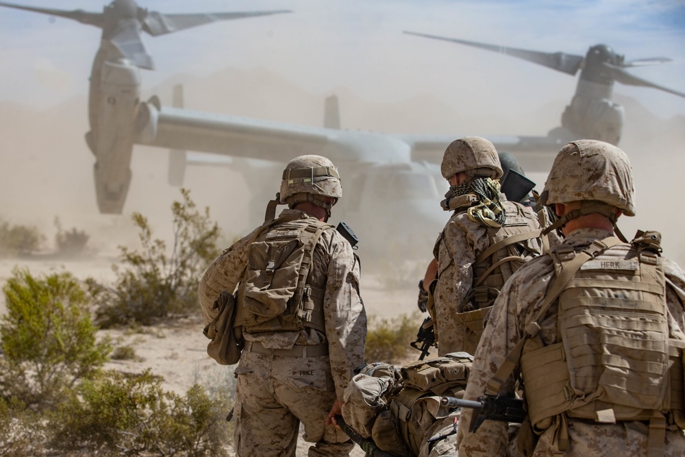 Combat Logistics Battalion 2 Motorized Operators Course Casualty Evacuation