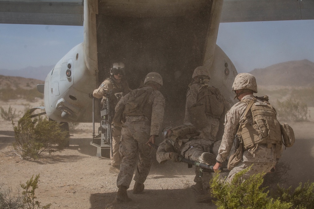 Combat Logistics Battalion 2 Motorized Operators Course Casualty Evacuation