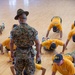Officer Candidate School (OCS) class 01-20, here at Officer Training Command, Newport, Rhode Island, (OTCN) meet their Marine Corps Drill Instructors on Aug. 2, 2019.