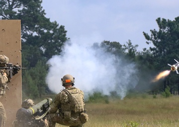 1st Brigade Combat Team, 82nd Airborne Division conducts live fire during Decisive Action Rotation 19-08.5