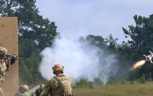 1st Brigade Combat Team, 82nd Airborne Division conducts live fire during Decisive Action Rotation 19-08.5