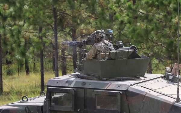 1st Brigade Combat Team, 82nd Airborne Division conducts dry fire and test fire during Decisive Action Rotation 19-08.5