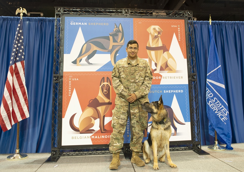 Military working dogs stamp their place in history
