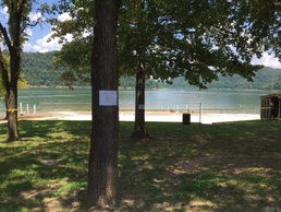 Center Hill Lake beach closed due to high bacteria levels