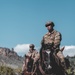 U.S. Army Special Forces &amp; MARSOC (SOF Horsemanship Course)