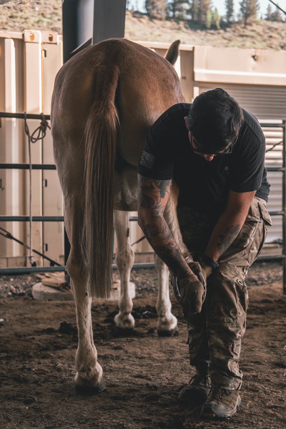 U.S. Army Special Forces &amp; MARSOC (SOF Horsemanship Course)