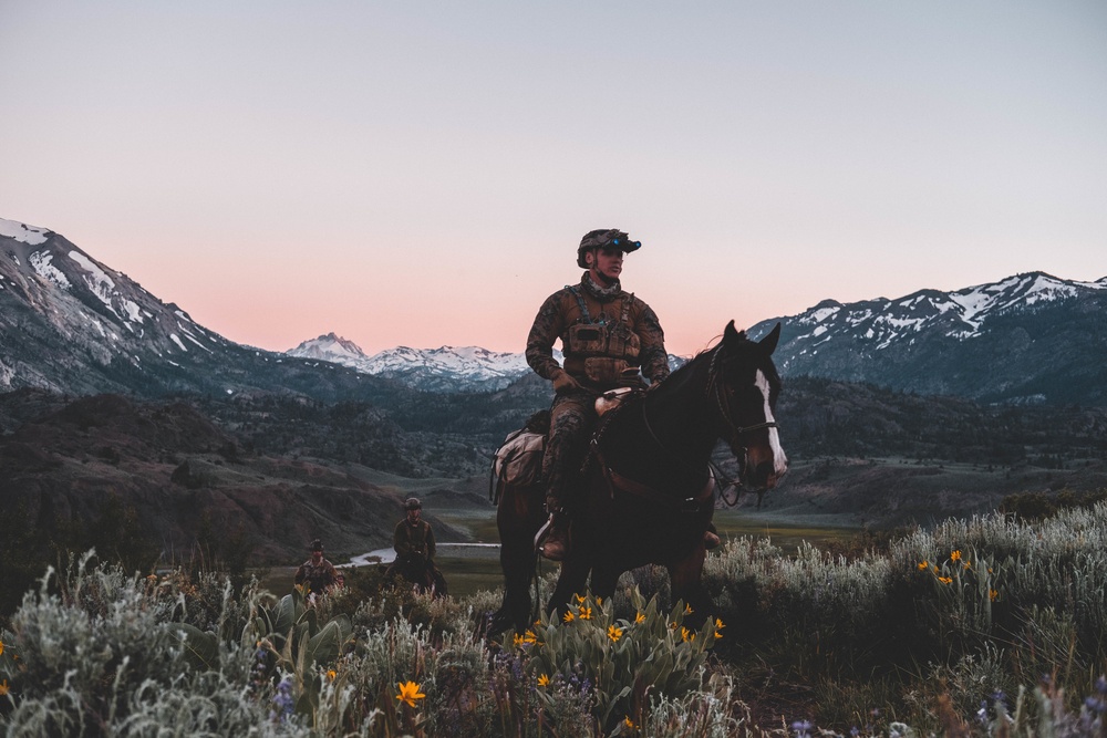 U.S. Army Special Forces &amp; MARSOC (SOF Horsemanship Course)