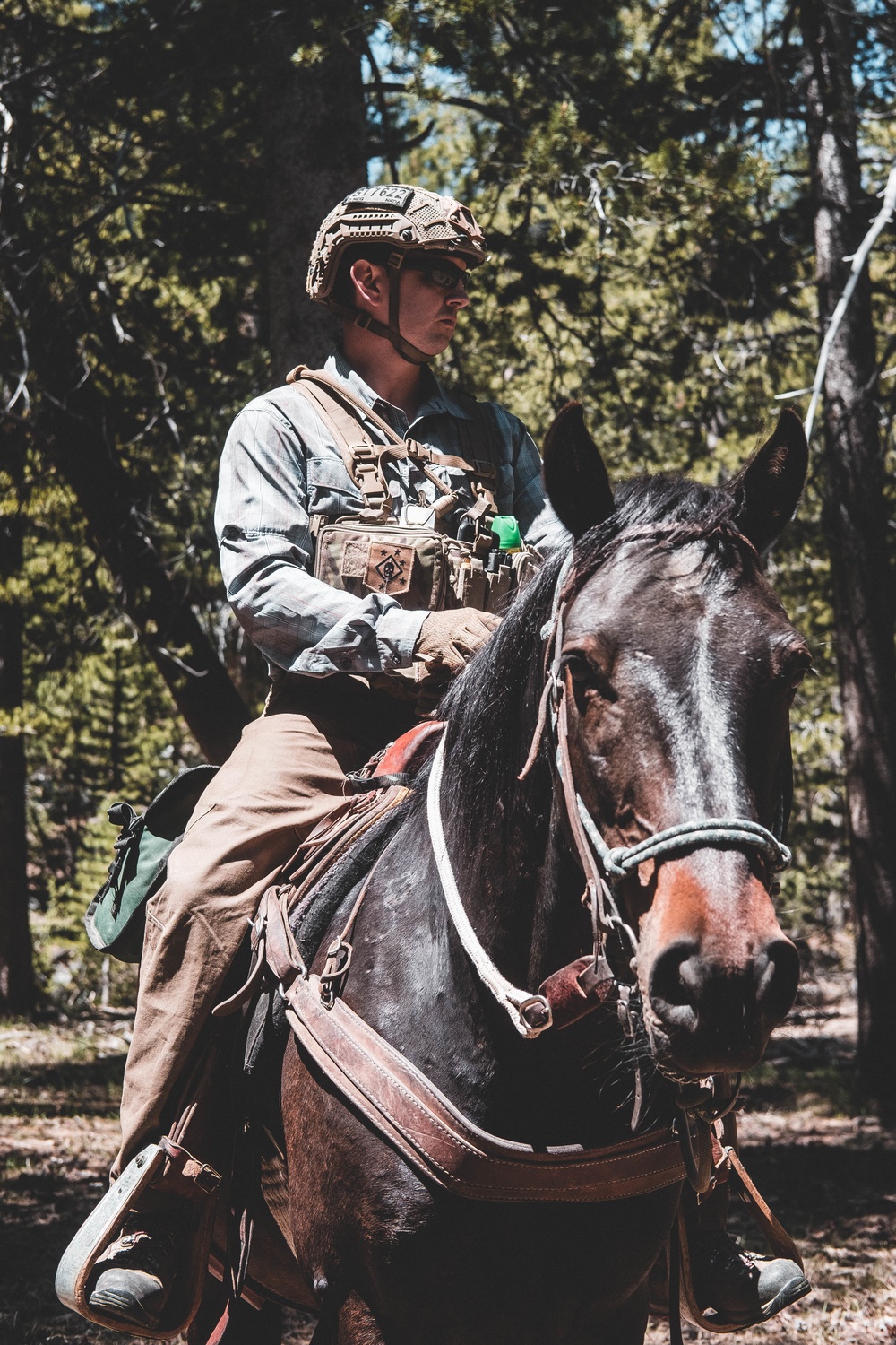 U.S. Army Special Forces &amp; MARSOC (SOF Horsemanship Course)