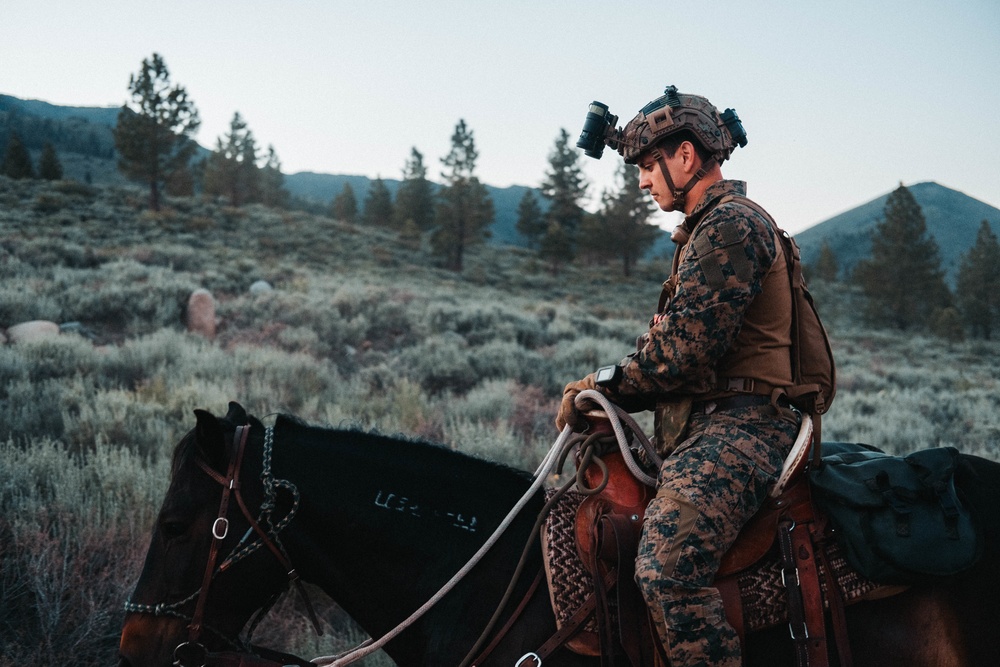 U.S. Army Special Forces &amp; MARSOC (SOF Horsemanship Course)