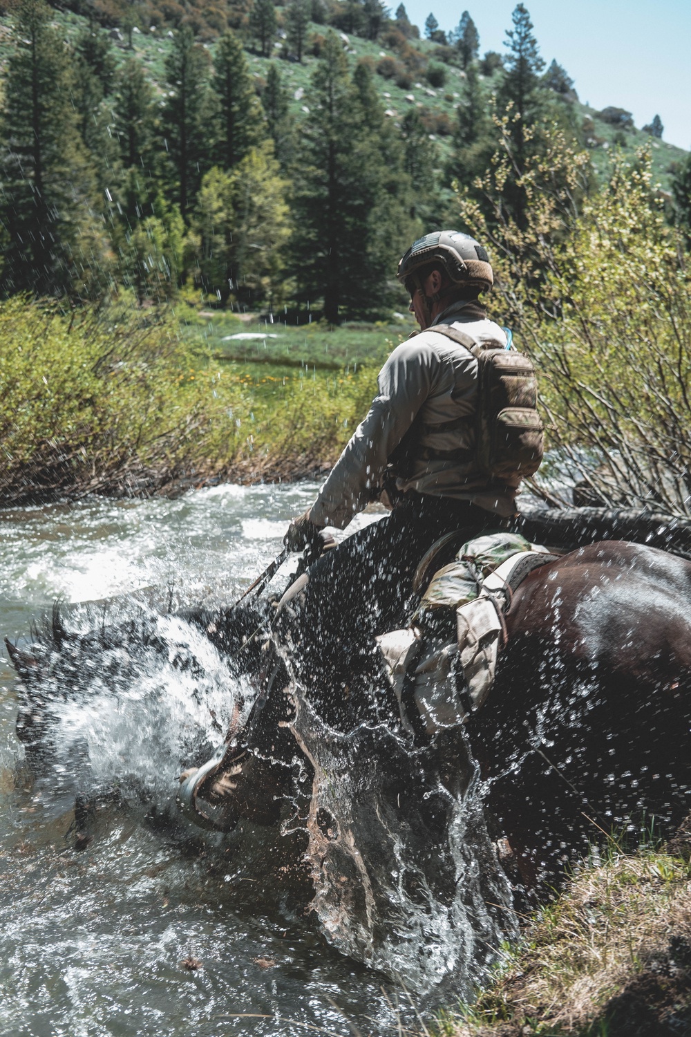 U.S. Army Special Forces &amp; MARSOC (SOF Horsemanship Course)