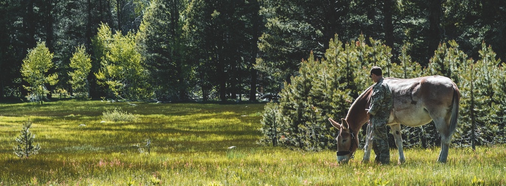 U.S. Army Special Forces &amp; MARSOC (SOF Horsemanship Course)