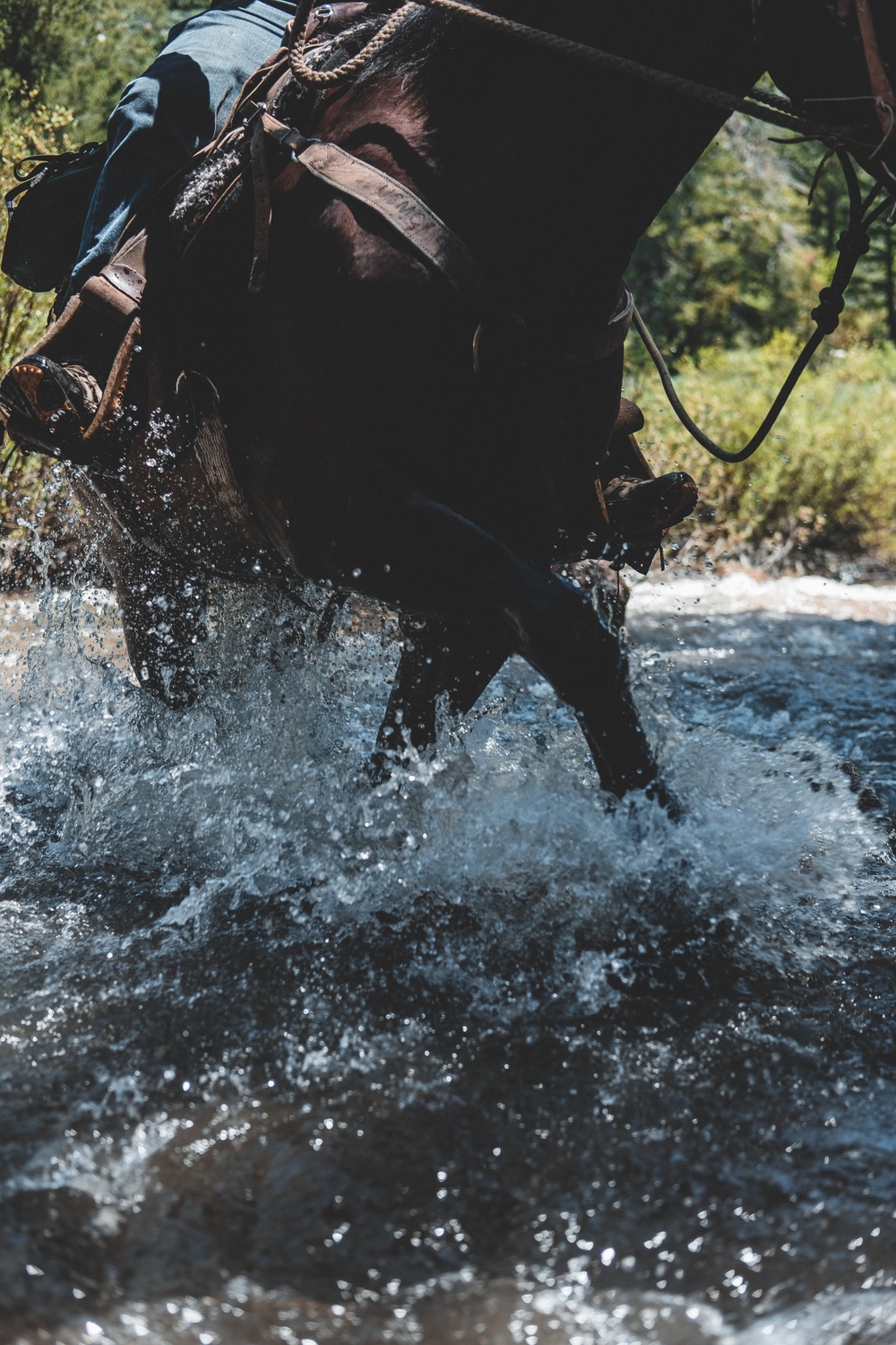 U.S. Army Special Forces &amp; MARSOC (SOF Horsemanship Course)