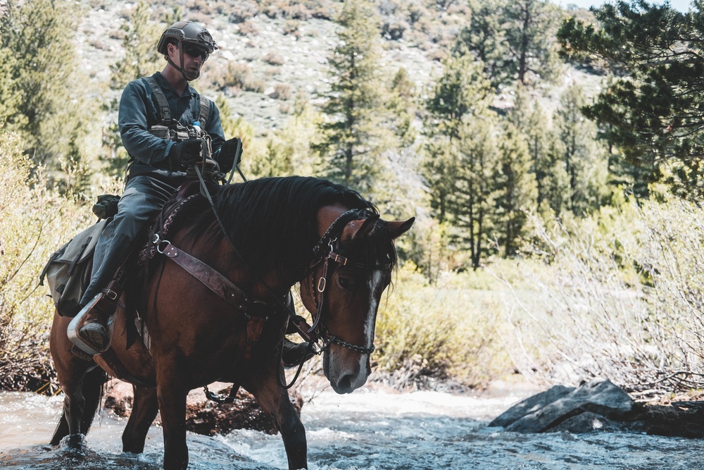 U.S. Army Special Forces &amp; MARSOC (SOF Horsemanship Course)