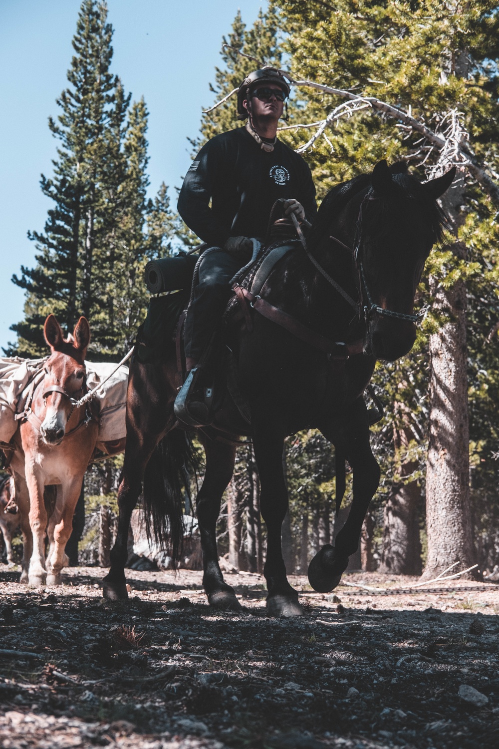 U.S. Army Special Forces &amp; MARSOC (SOF Horsemanship Course)