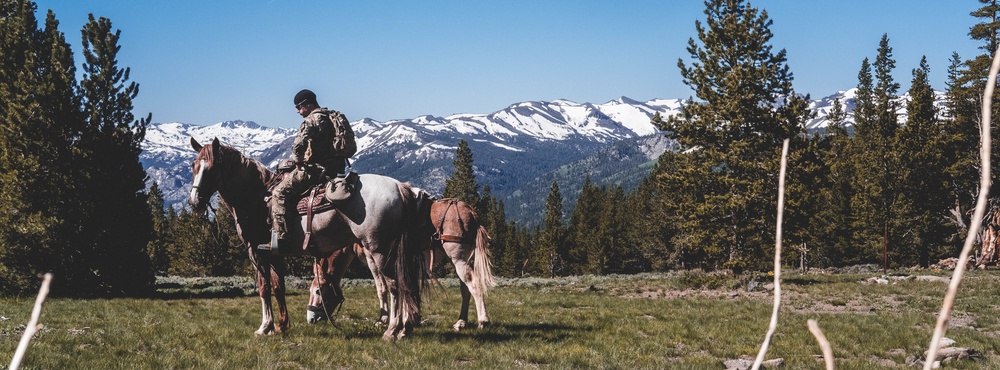 U.S. Army Special Forces &amp; MARSOC (SOF Horsemanship Course)