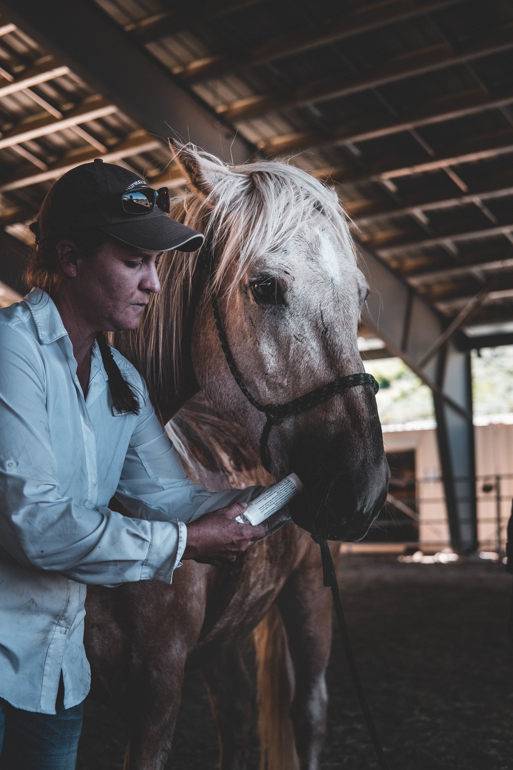 U.S. Army Special Forces &amp; MARSOC (SOF Horsemanship Course)