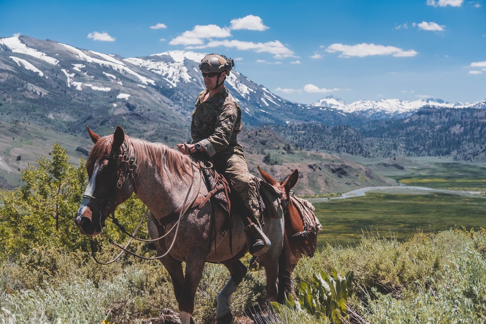 U.S. Army Special Forces &amp; MARSOC (SOF Horsemanship Course)