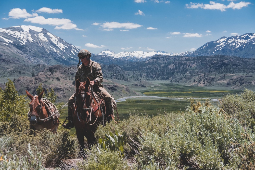 U.S. Army Special Forces &amp; MARSOC (SOF Horsemanship Course)