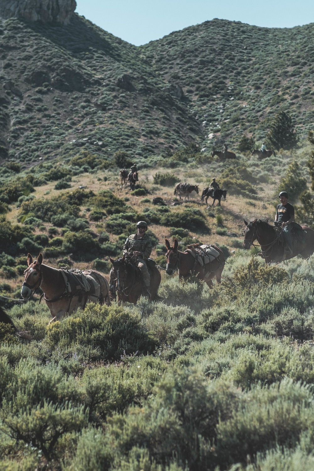 U.S. Army Special Forces &amp; MARSOC (SOF Horsemanship Course)