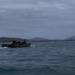 U.S. Marines complete simulated combined amphibious assault, reconnaissance raid in Bowen, Australia