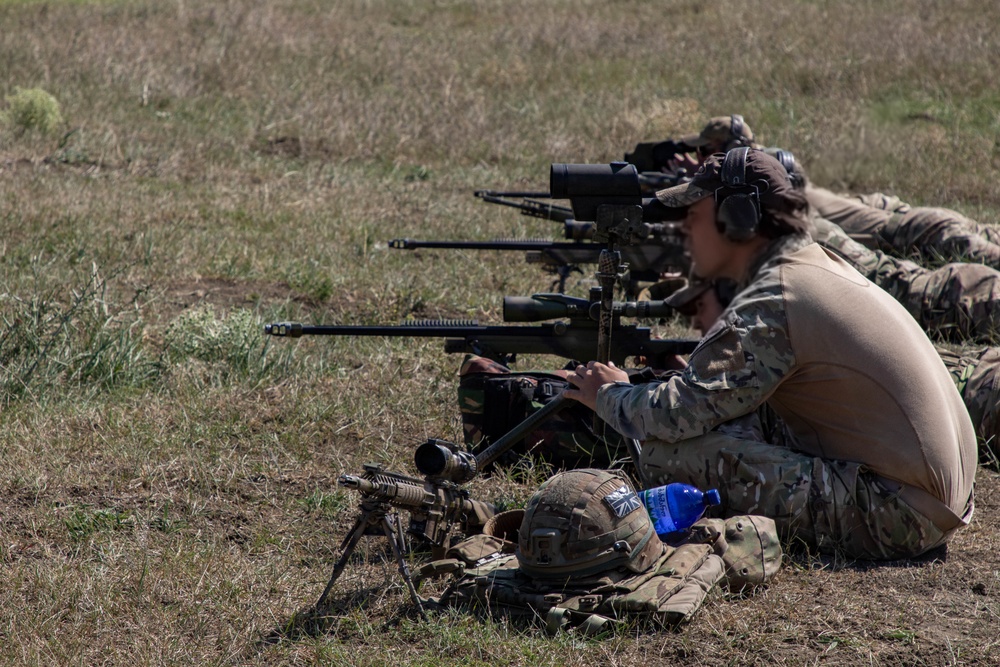 Irish Guard conducts live-fire training during AgS19