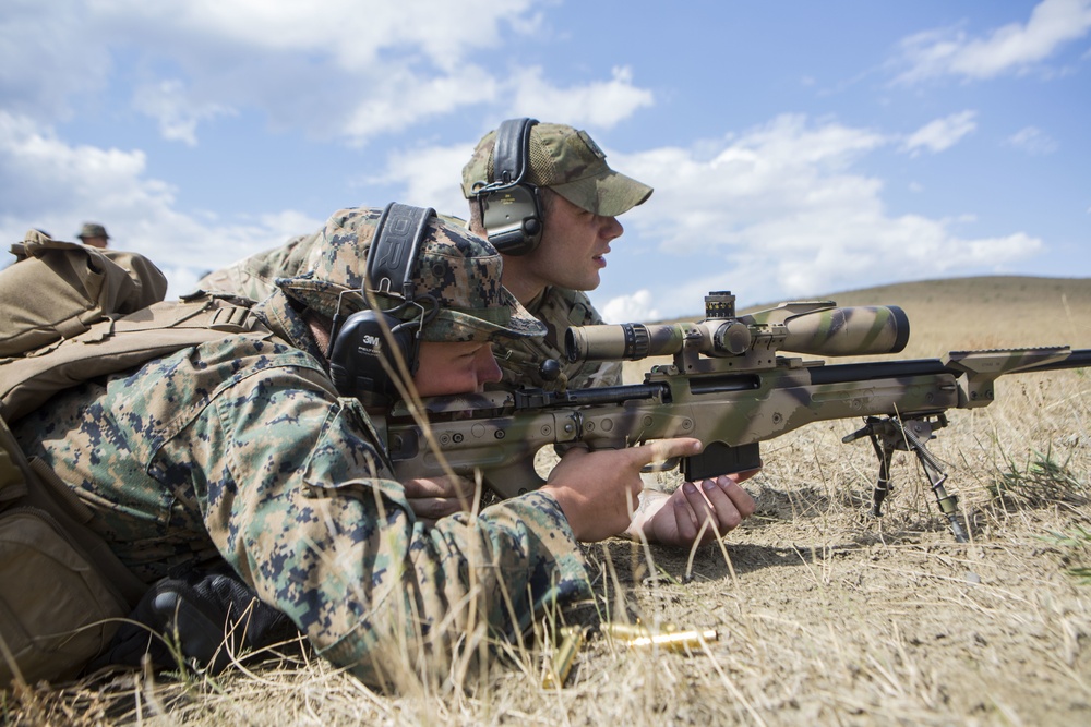 Agile Spirit 19: U.S. Marines and U.K. Army weapons cross training