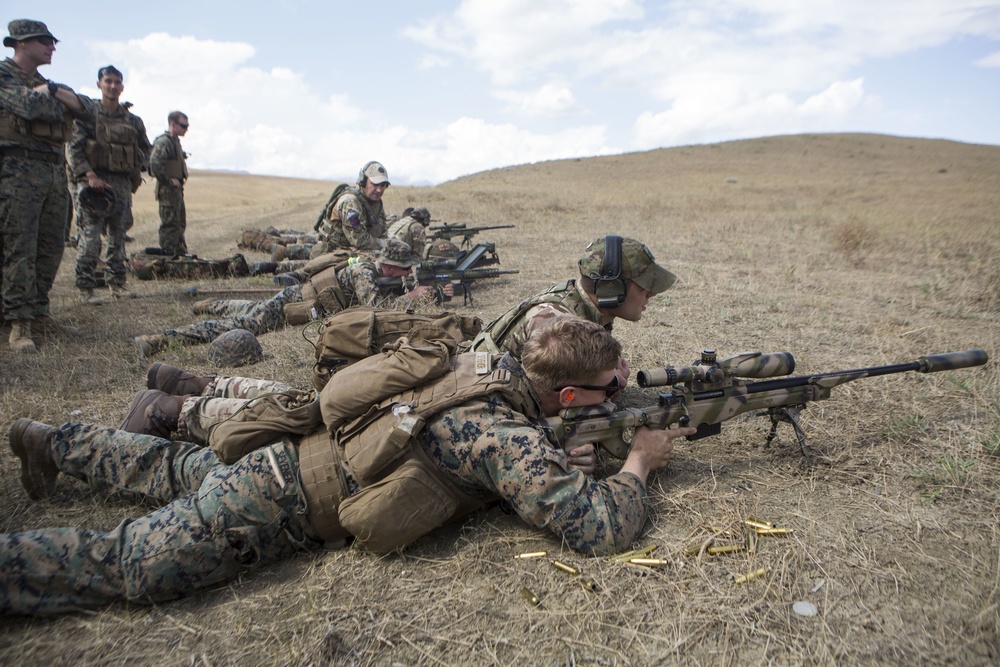 Agile Spirit 19: U.S. Marines and U.K. Army weapons cross training