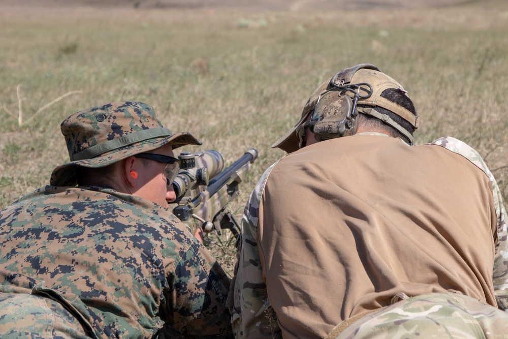 Irish Guard sniper platoon participates in Agile Spirit 19