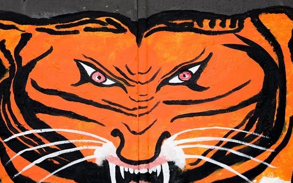 A Flying Tiger's Final Flight