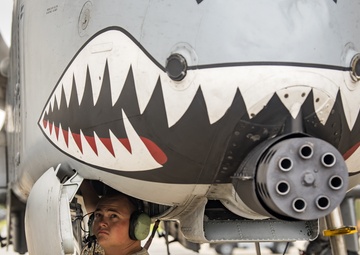 Sharks 'ATTACK' surge exercise