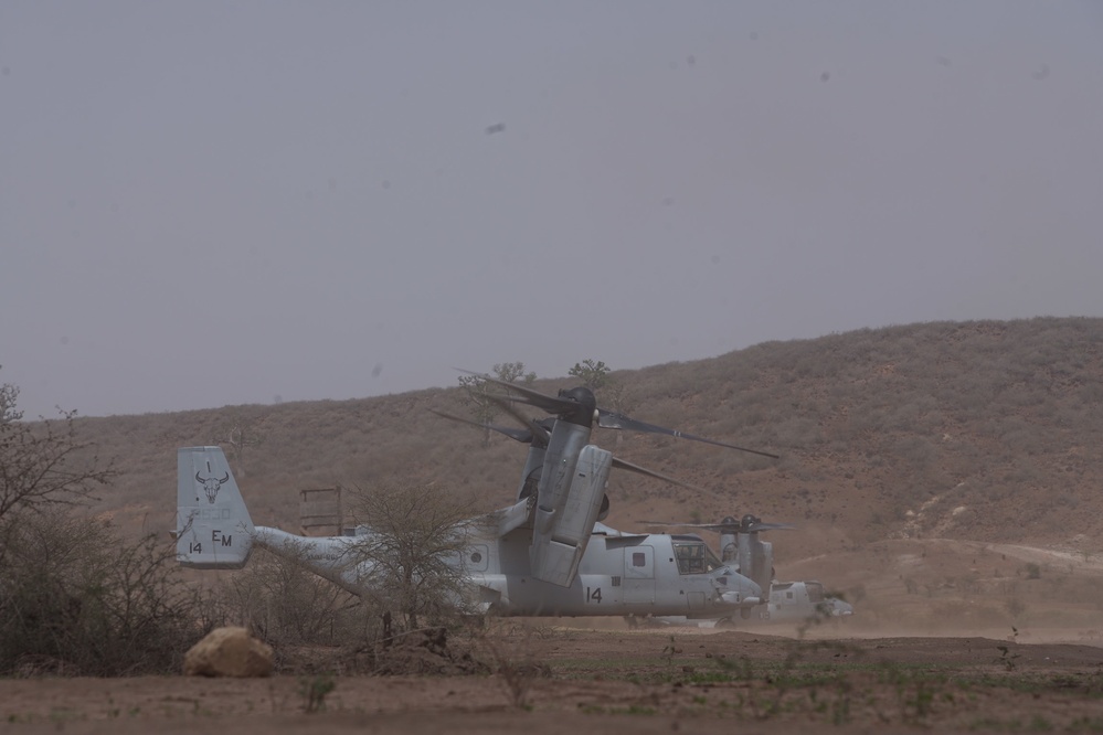 SPMAGTF-CR-AF conduct quick-reaction force training