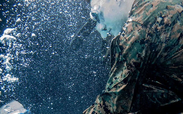 MARFORRES Marines conduct aquatic offensive and defensive techniques