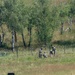 Alternate Breaching and Shoulder Fired Munitions Demonstration