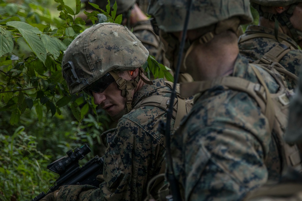 India Company conducts live-fire and maneuver training