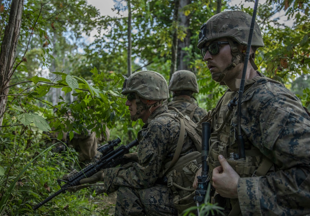 India Company conducts live-fire and maneuver training