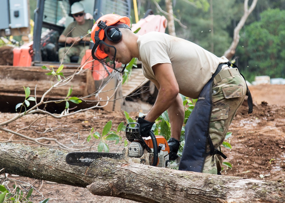 NY National Guard engineers conduct innovative readiness training in Hawaii