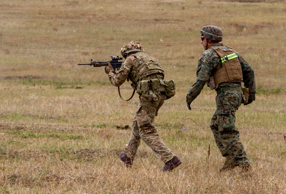 U.S. Marines and British soldiers conduct stress shoot