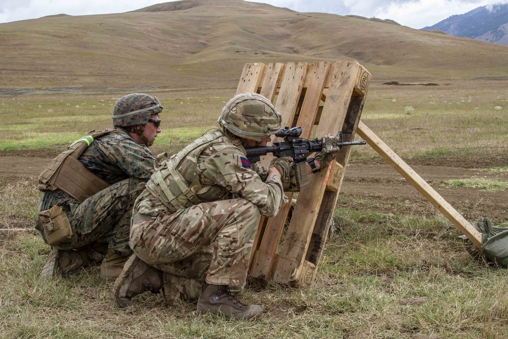 U.S. Marines and British soldiers conduct stress shoot