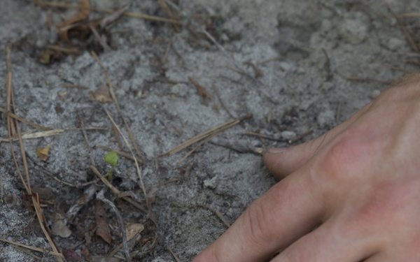 National Hunting and Fishing Day