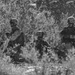 Reserve Marines with 1/25 Attack Range 400
