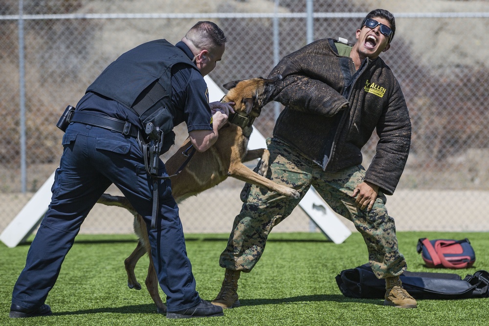 Dvids - Images - Provost Marshals Office Hosts Military Working Dog 