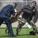 Provost Marshals Office hosts military working dog demo