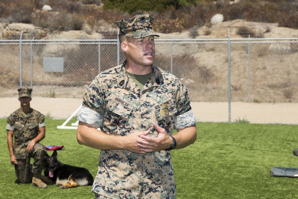 Provost Marshals Office hosts military working dog demo