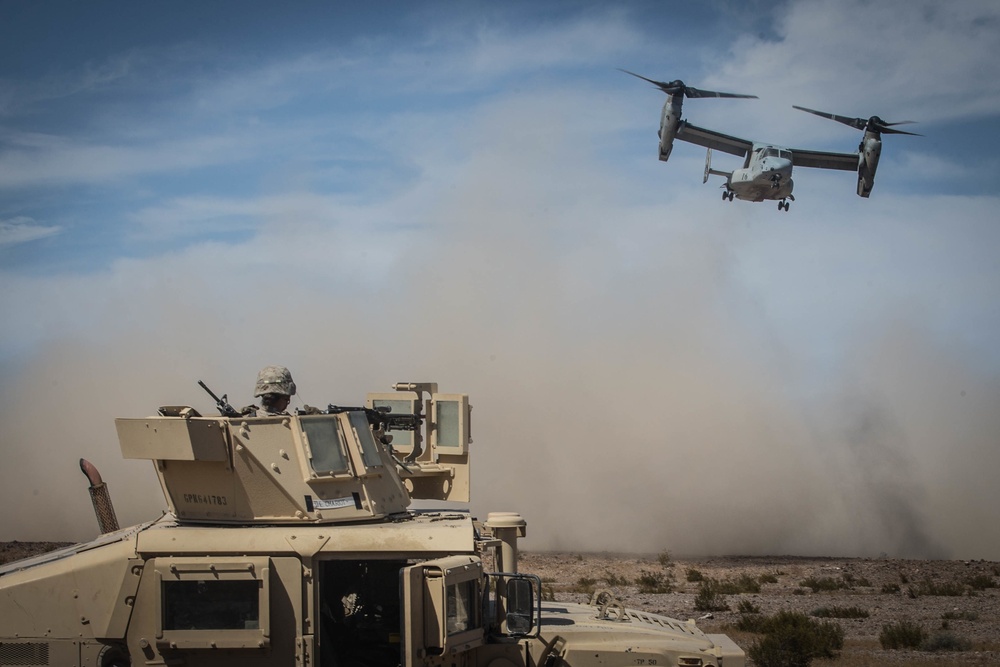 Combat Logistics Battalion 2 Advanced Motorized Operations Course