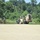 CSTX 86-19-03 Operations at Fort McCoy