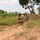Nigeria IED-Defeat training 2019