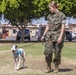SMP Foster Dog