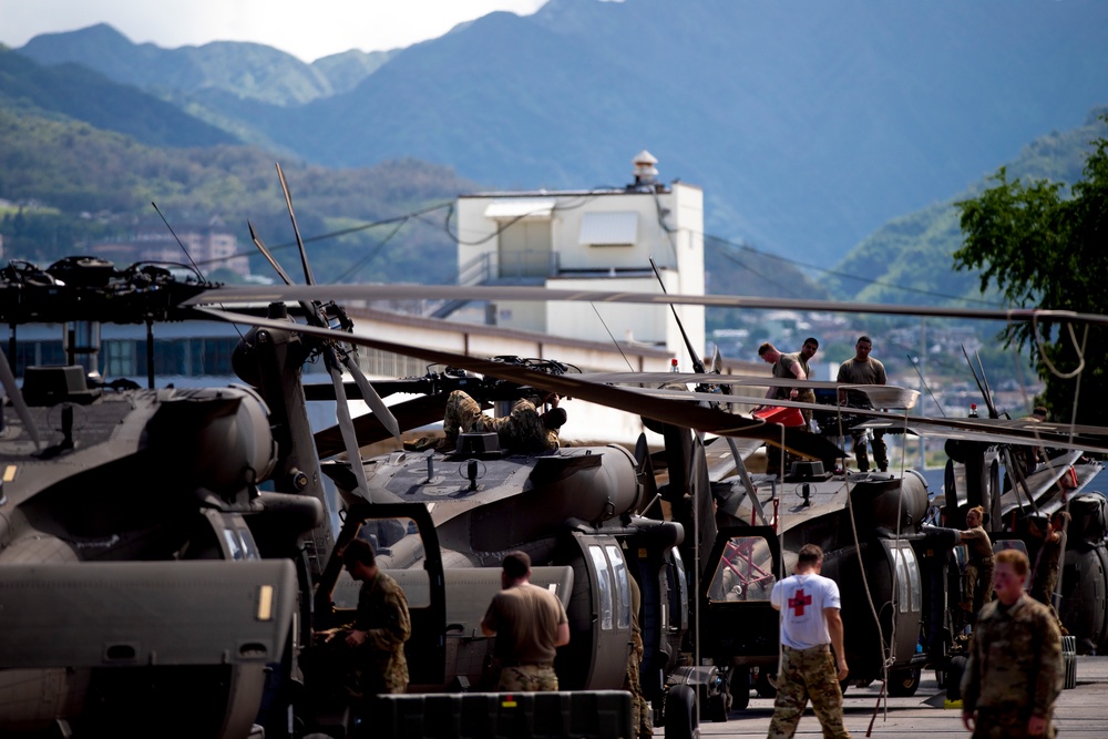 Army Blackhawks land on JBPHH