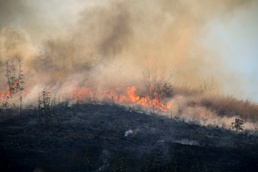 Why are some fires allowed to burn?