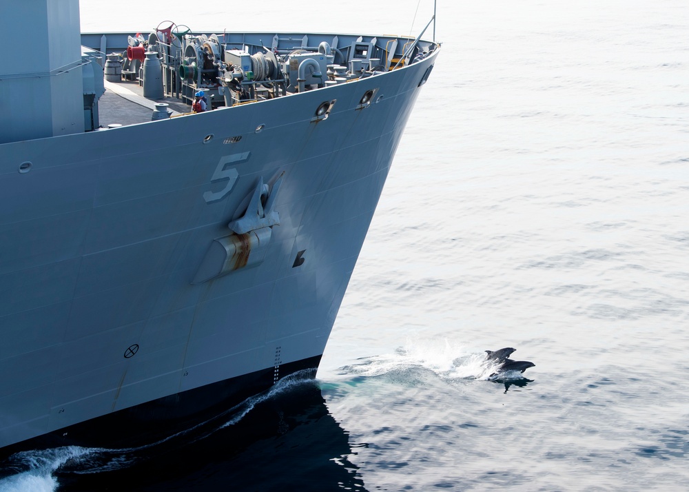 USS Oak Hill participates in SWATT